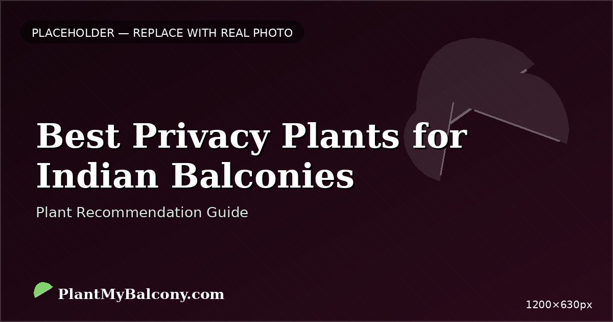 Best Privacy Plants for Indian Balconies