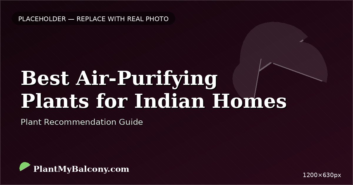 Best Air-Purifying Plants for Indian Homes
