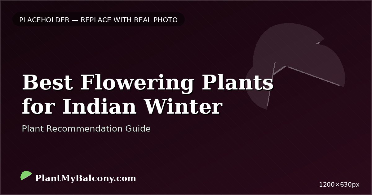 Best Flowering Plants for Indian Winter