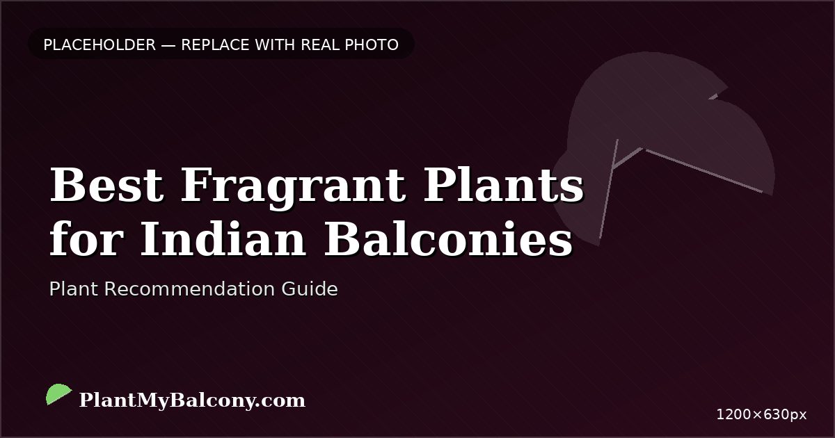 Best Fragrant Plants for Indian Balconies