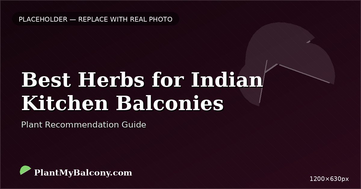 Best Herbs for Indian Kitchen Balconies