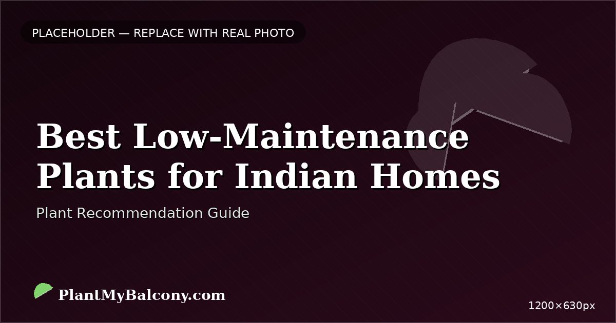 Best Low-Maintenance Plants for Indian Homes