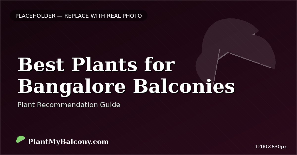 Best Plants for Bangalore Balconies