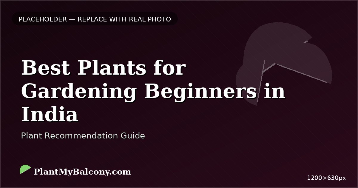 Best Plants for Gardening Beginners in India