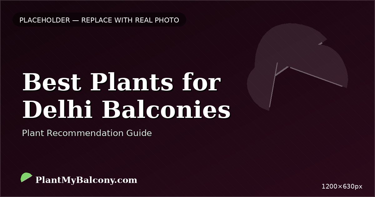 Best Plants for Delhi Balconies