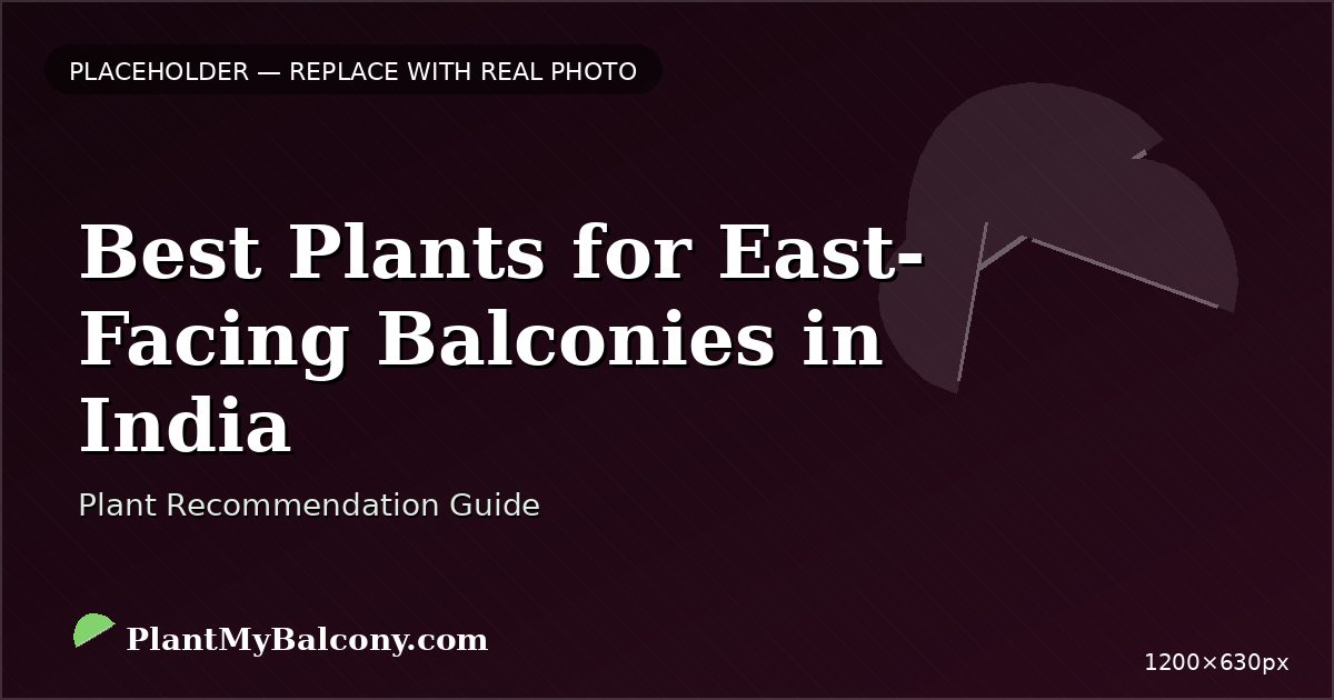 Best Plants for East-Facing Balconies in India