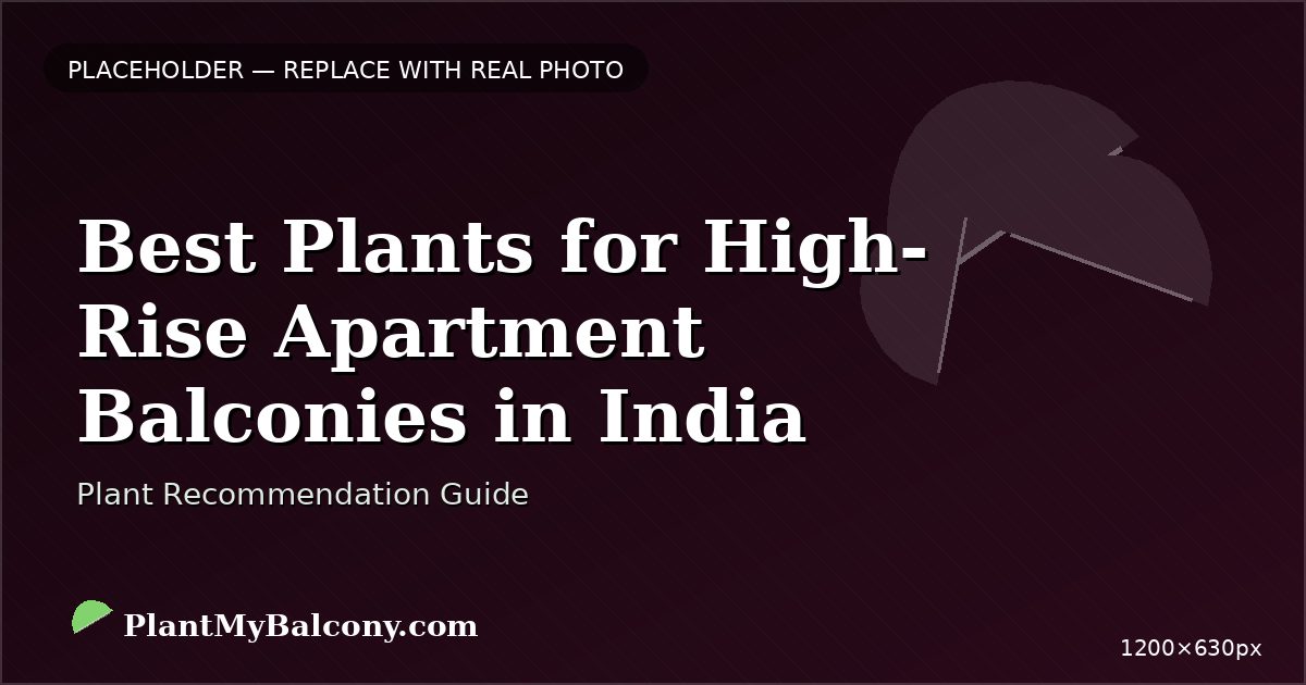 Best Plants for High-Rise Apartment Balconies in India