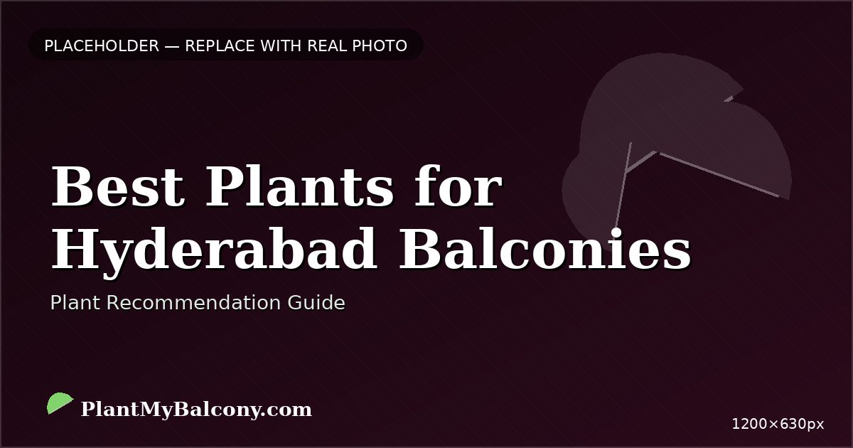 Best Plants for Hyderabad Balconies