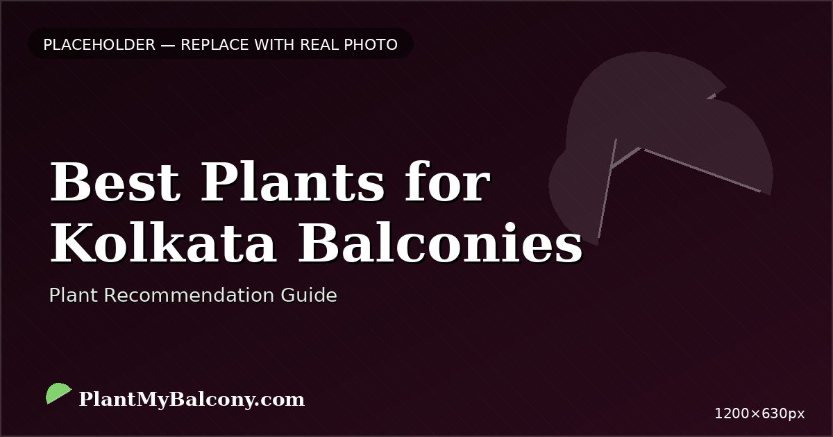 Best Plants for Kolkata Balconies