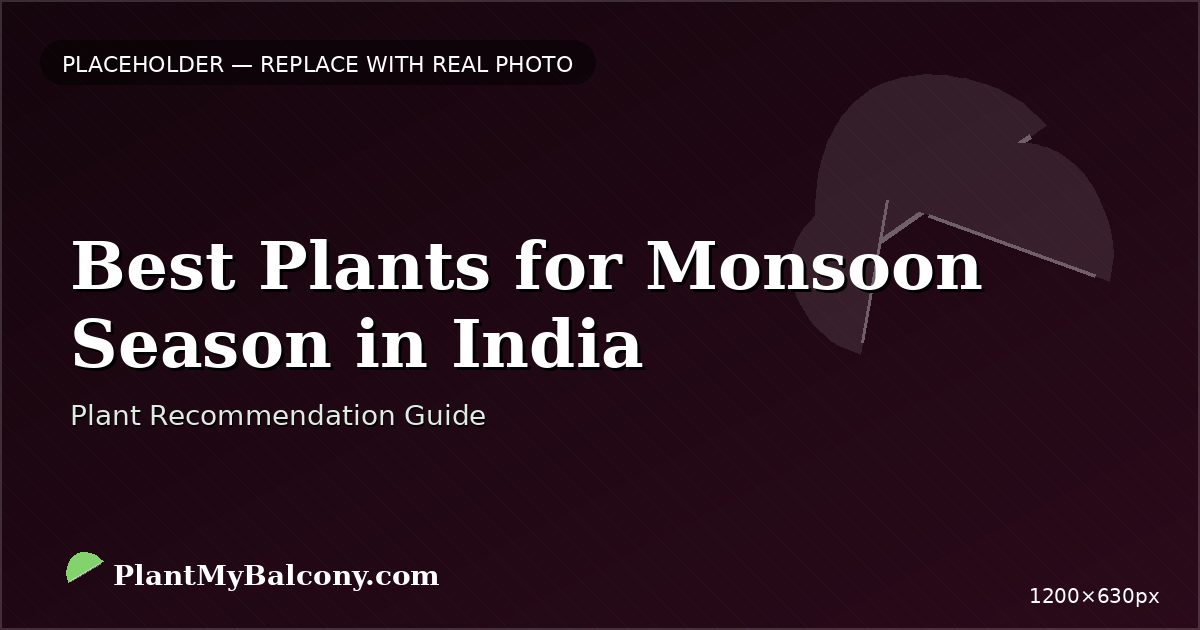 Best Plants for Monsoon Season in India