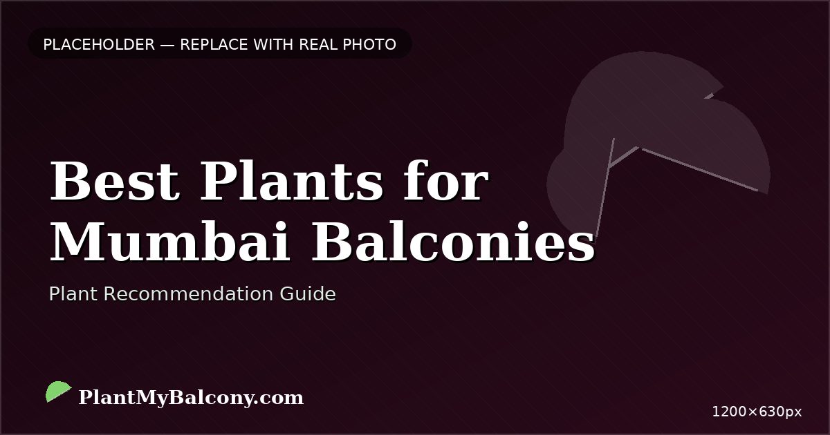 Best Plants for Mumbai Balconies