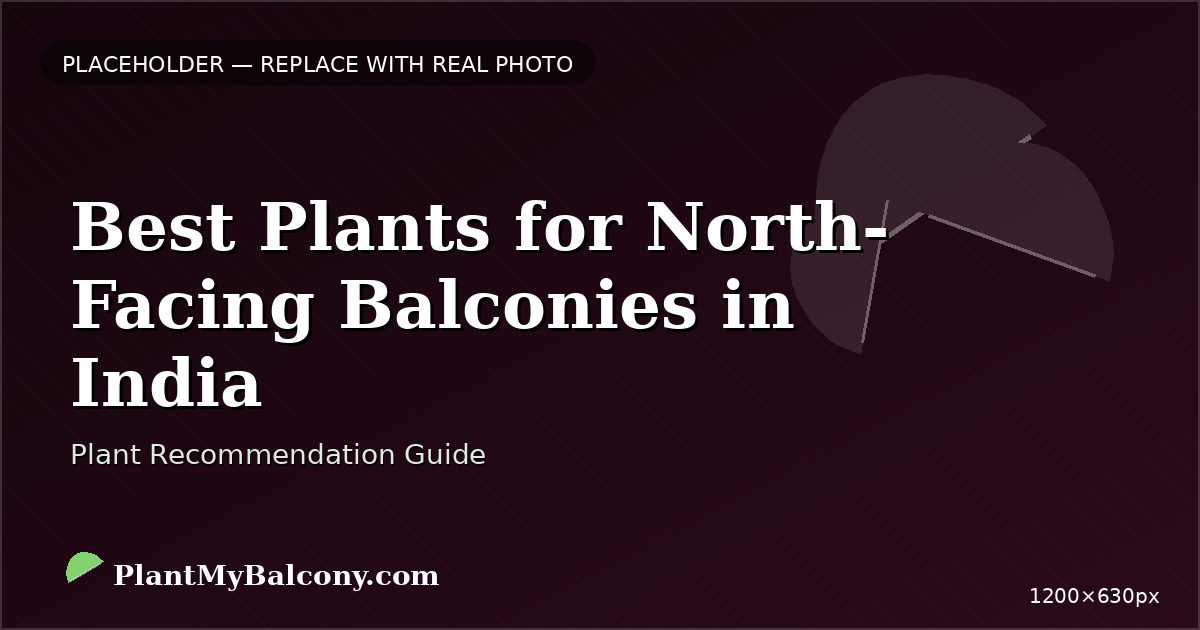 Best Plants for North-Facing Balconies in India