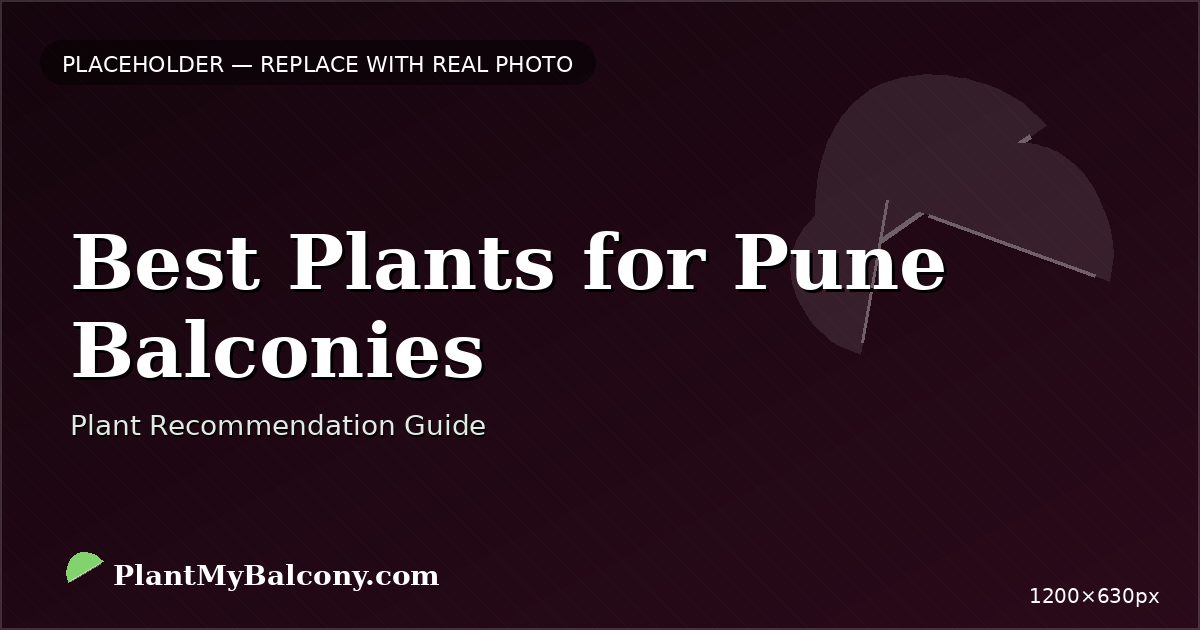 Best Plants for Pune Balconies