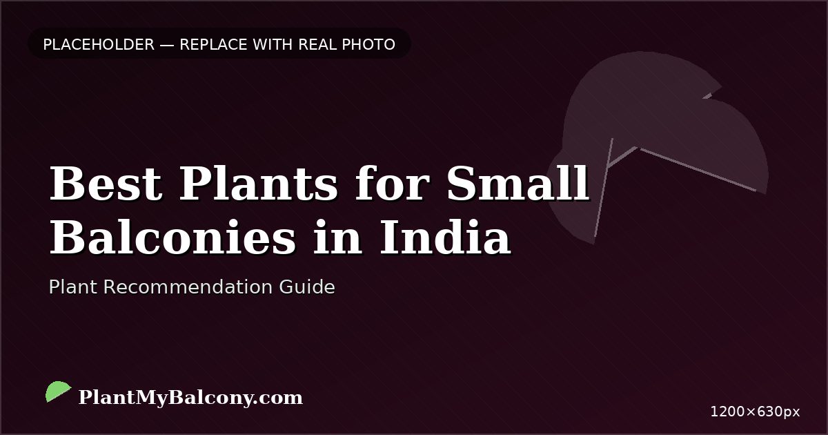 Best Plants for Small Balconies in India â Space-Saving Guide