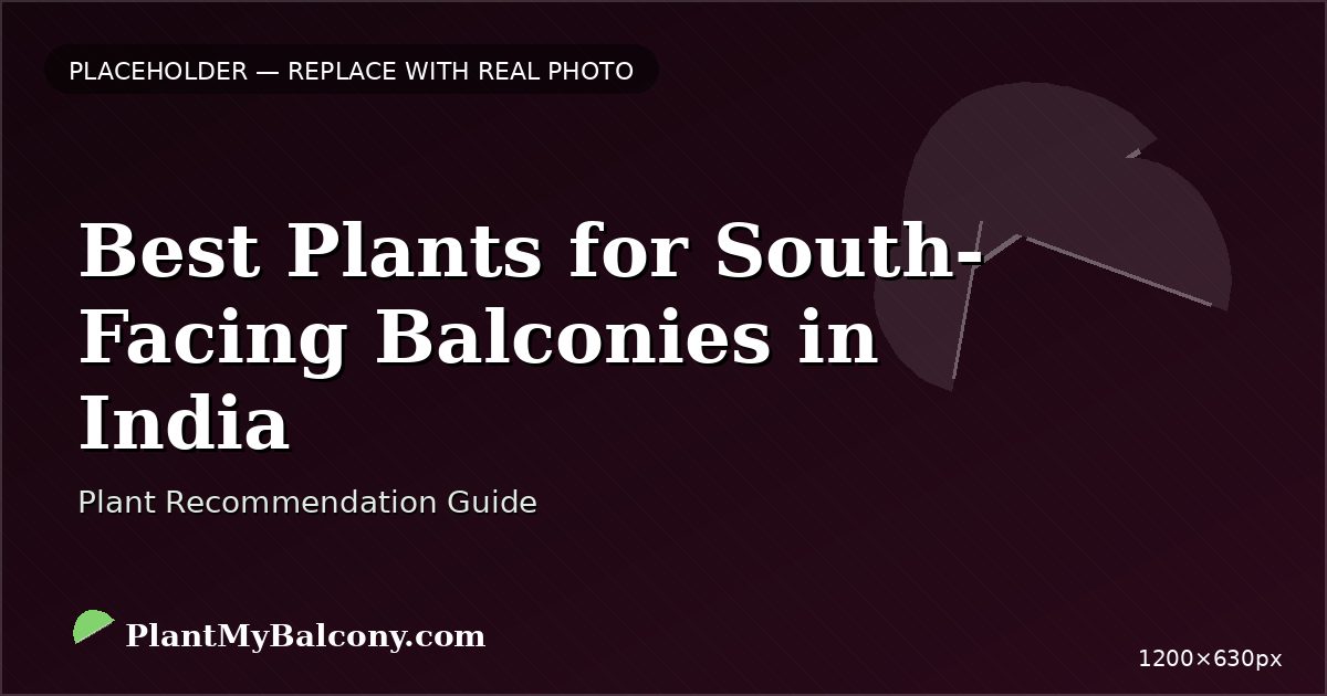 Best Plants for South-Facing Balconies in India