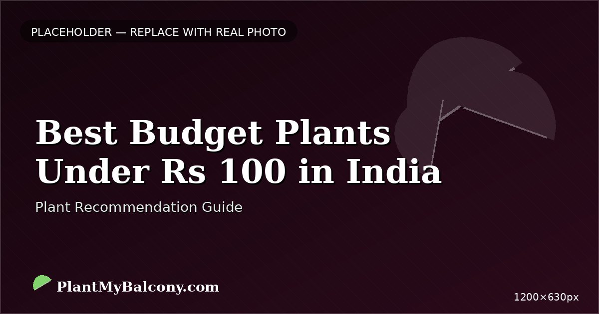 Best Budget Plants Under Rs 100 in India