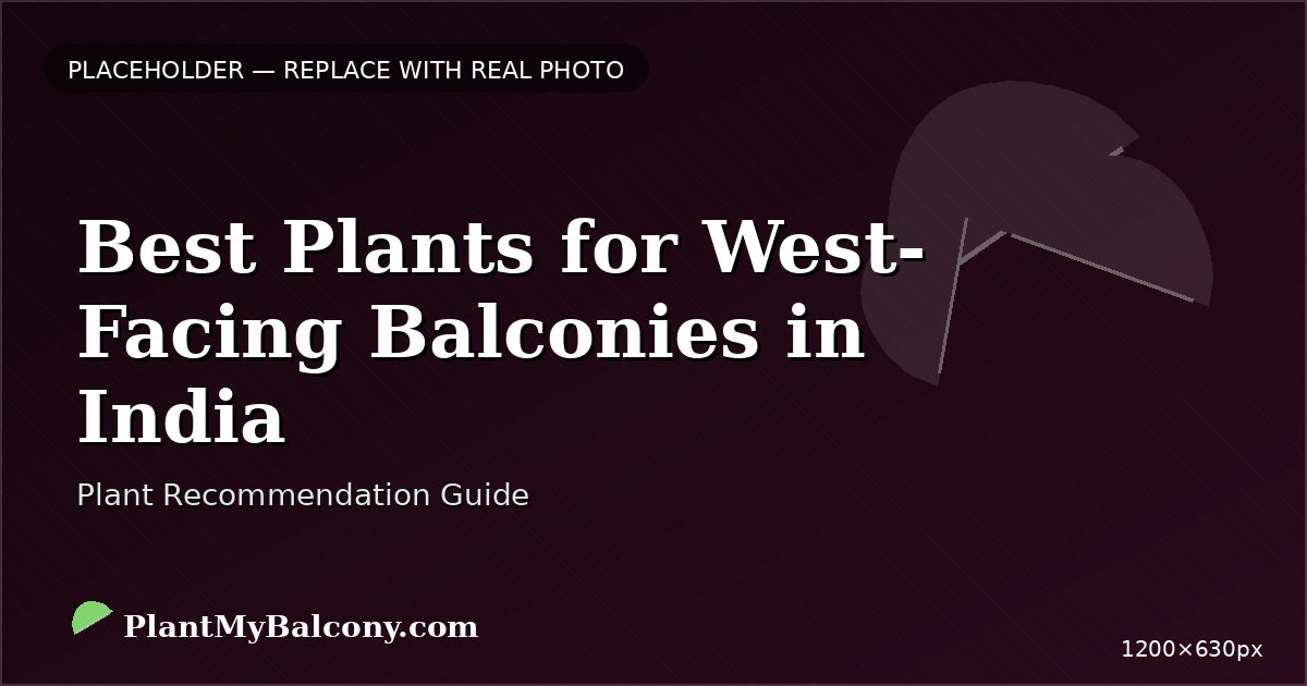 Best Plants for West-Facing Balconies in India