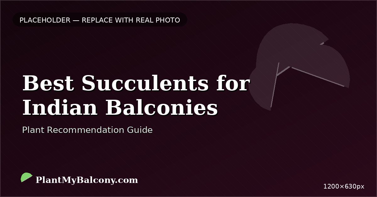 Best Succulents for Indian Balconies