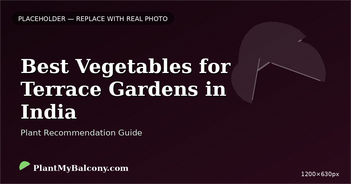 Best Vegetables for Terrace Gardens in India