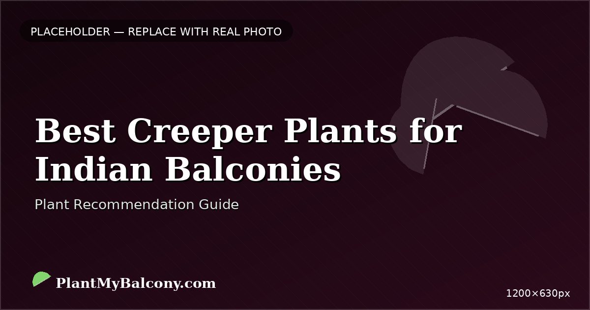 Best Creeper Plants for Indian Balconies