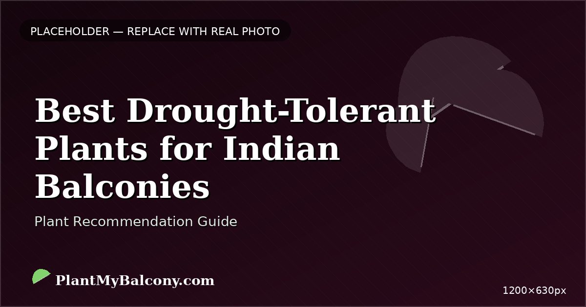 Best Drought-Tolerant Plants for Indian Balconies