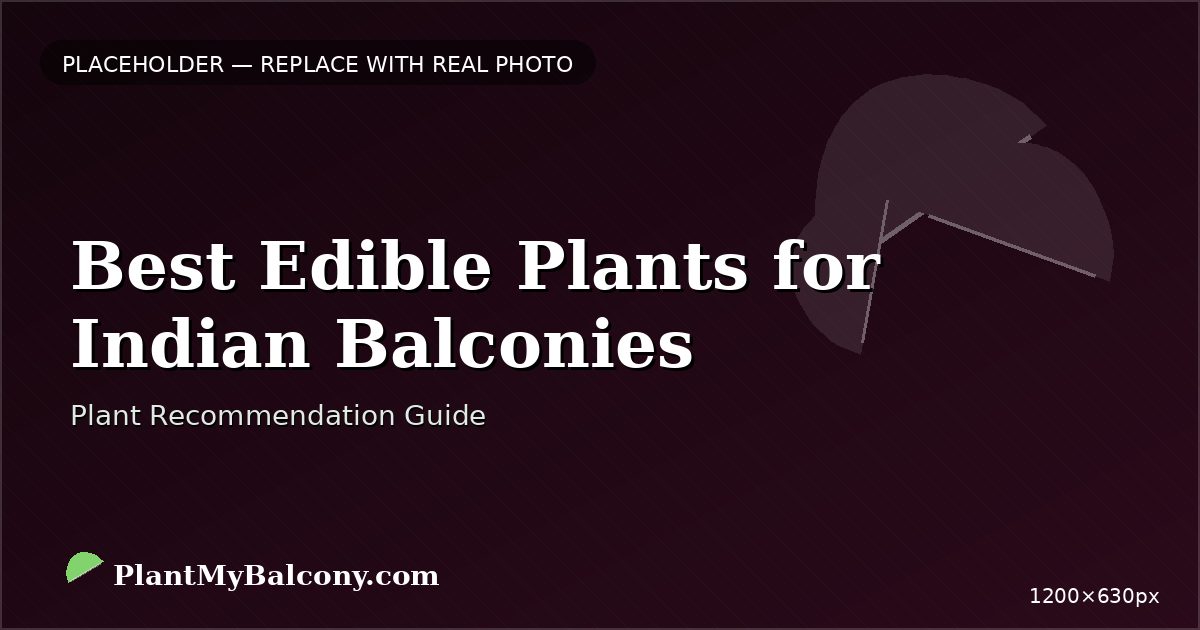 Best Edible Plants for Indian Balconies