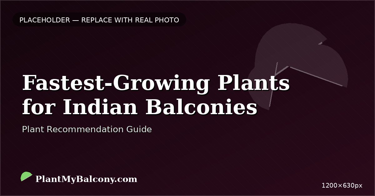 Fastest-Growing Plants for Indian Balconies