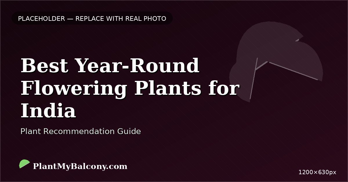 Best Year-Round Flowering Plants for India