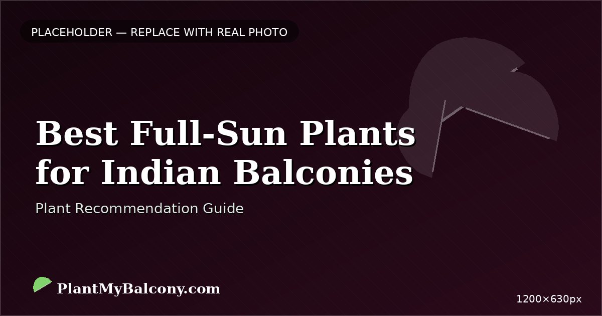 Best Full-Sun Plants for Indian Balconies