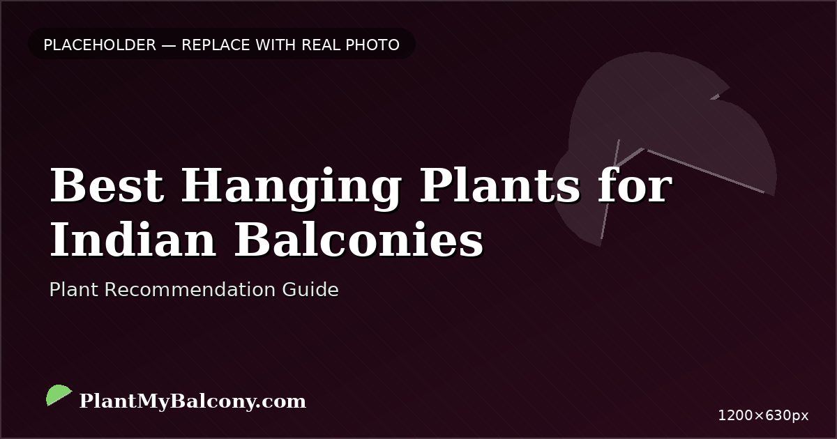 Best Hanging Plants for Indian Balconies
