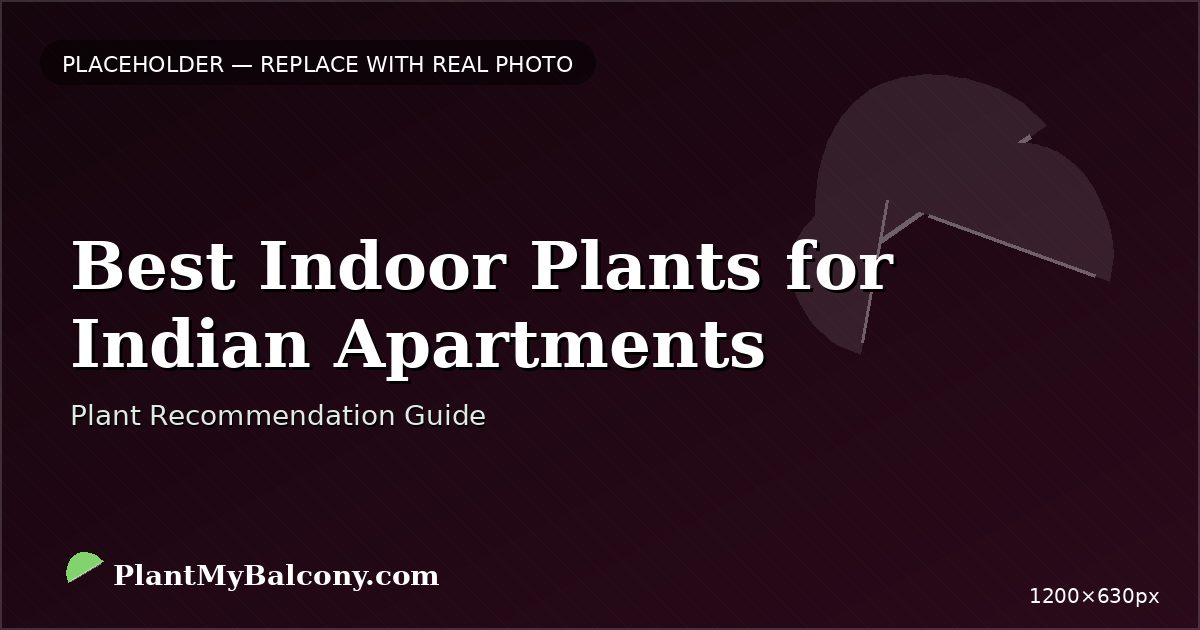 Best Indoor Plants for Indian Apartments