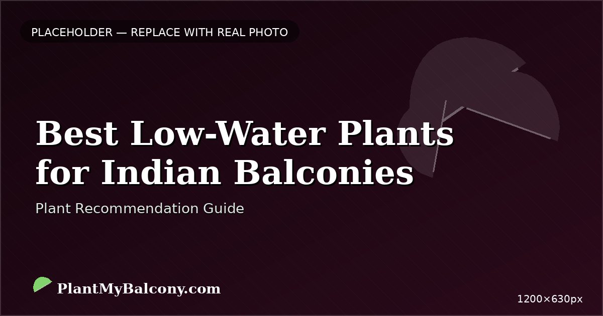 Best Low-Water Plants for Indian Balconies