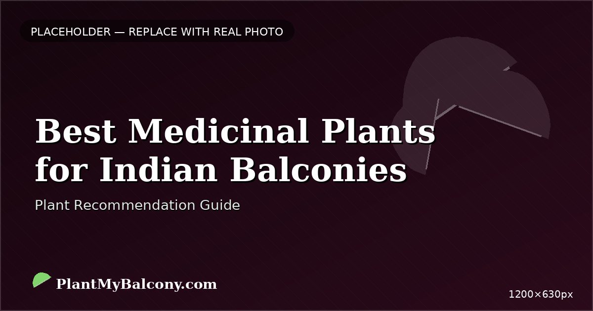 Best Medicinal Plants for Indian Balconies