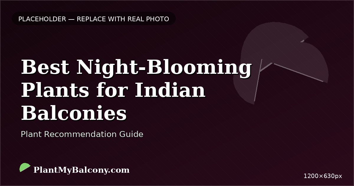 Best Night-Blooming Plants for Indian Balconies