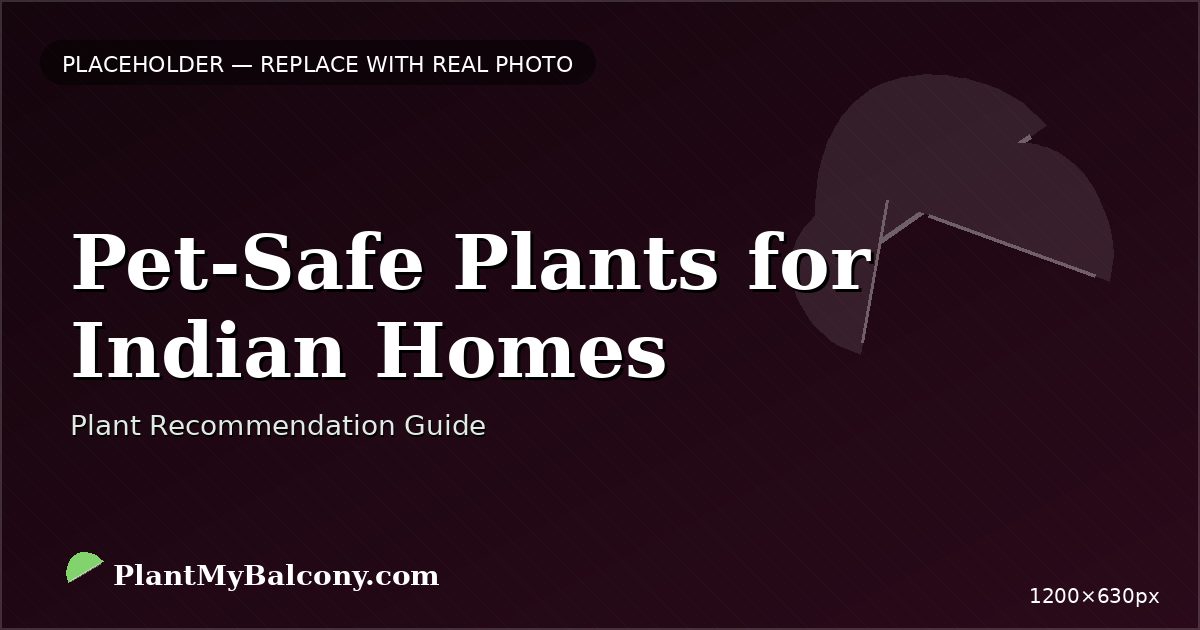 Pet-Safe Plants for Indian Homes