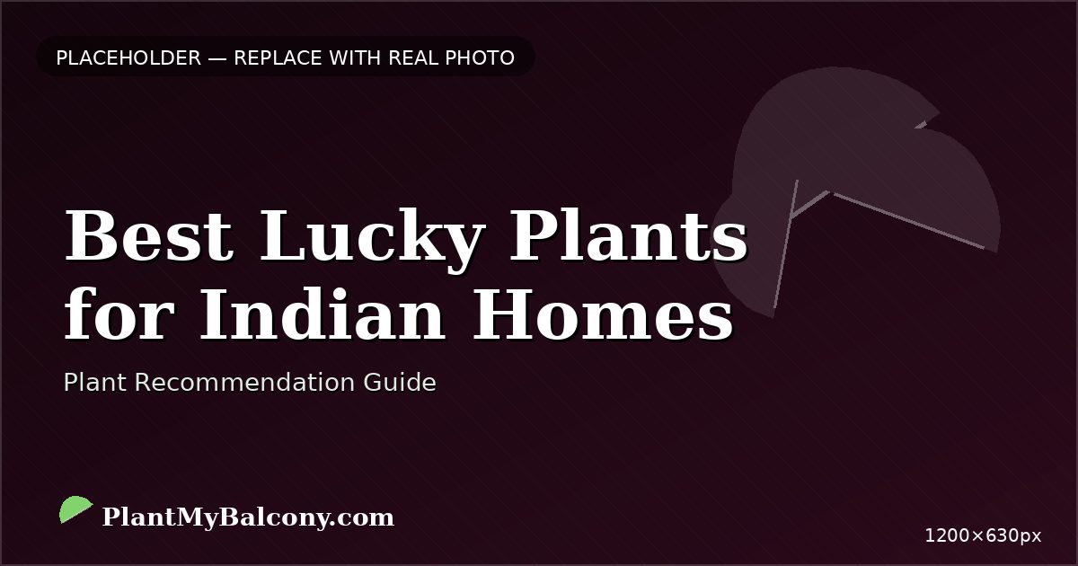 Best Lucky Plants for Indian Homes