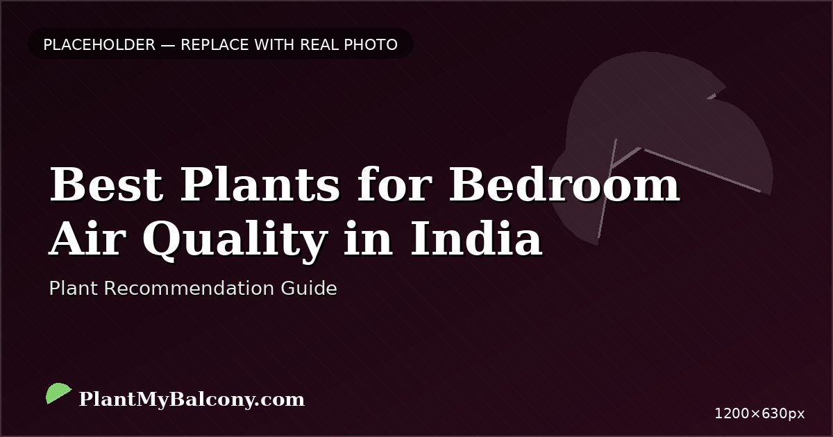 Best Plants for Bedroom Air Quality in India