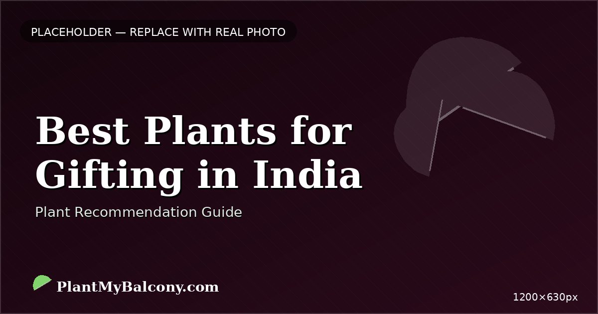 Best Plants for Gifting in India