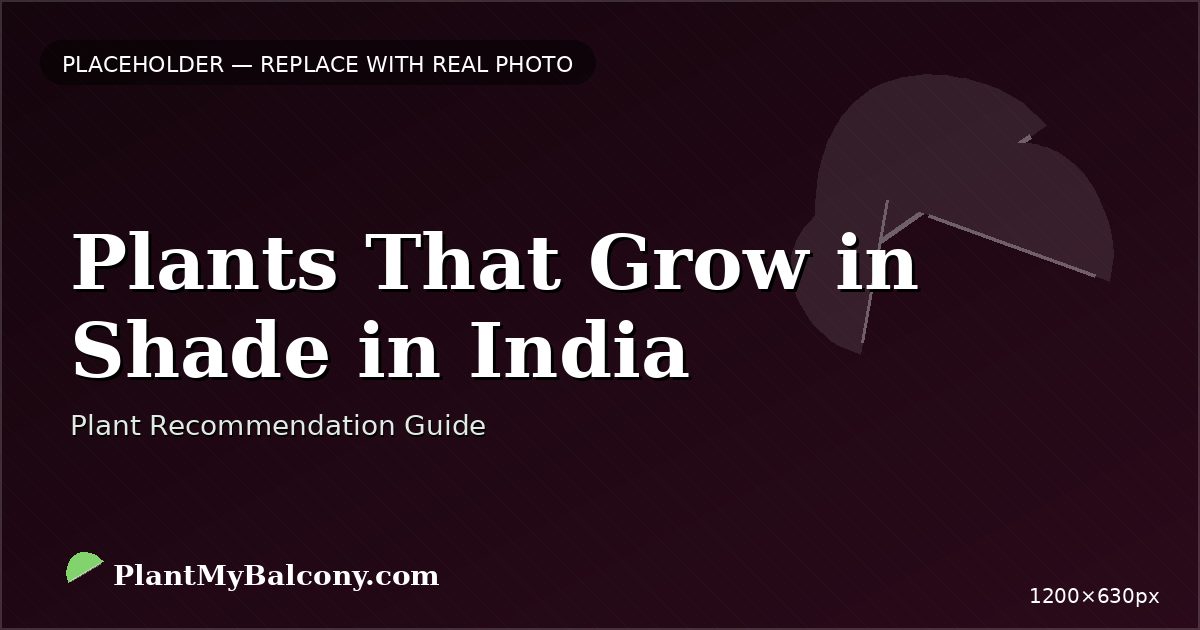 Plants That Grow in Shade in India
