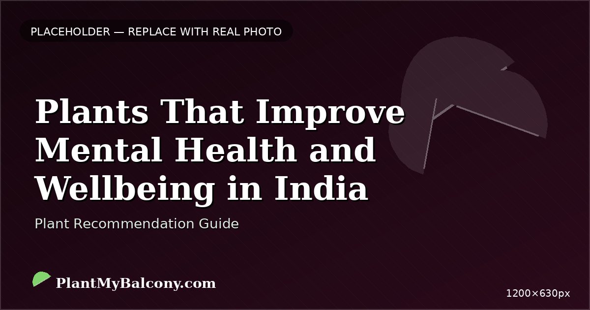 Plants That Improve Mental Health and Wellbeing in India