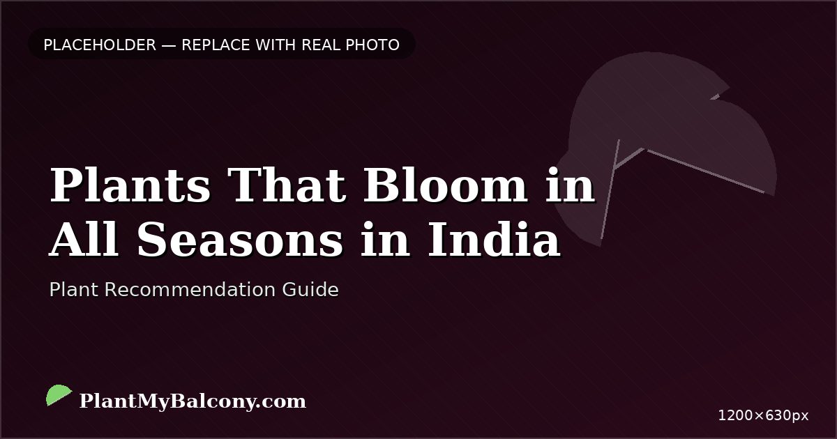 Plants That Bloom in All Seasons in India