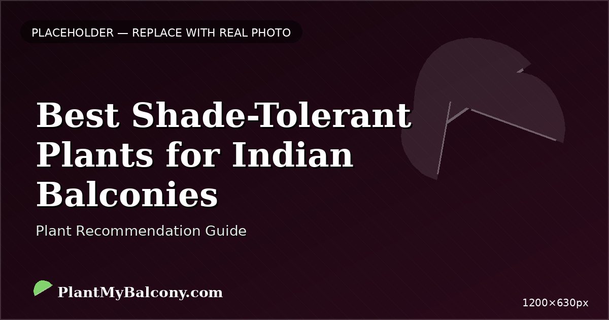 Best Shade-Tolerant Plants for Indian Balconies