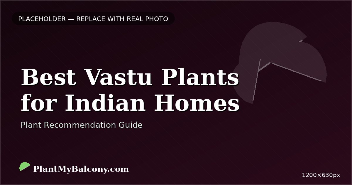 Best Vastu Plants for Indian Homes