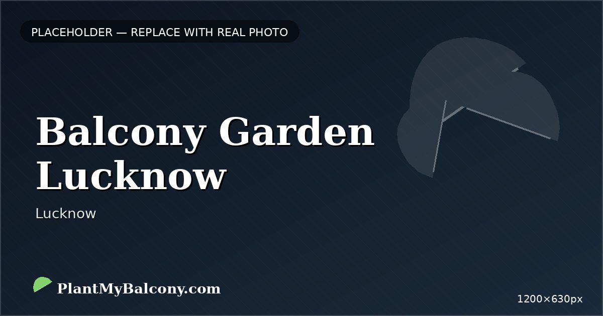 Balcony Garden Lucknow