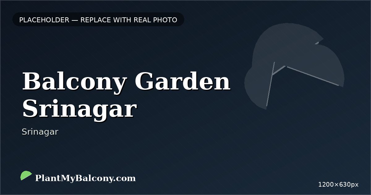 Balcony Garden Srinagar