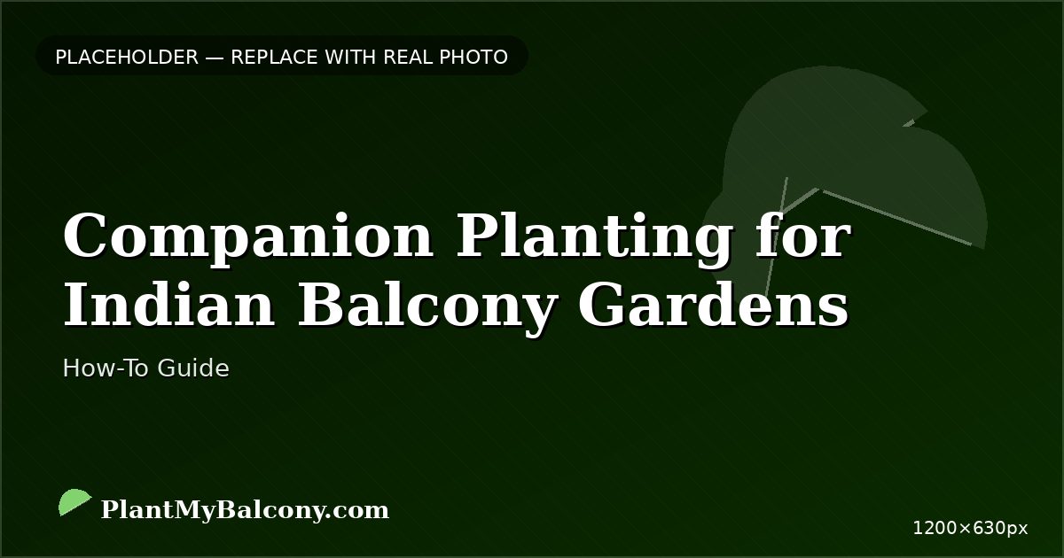 Companion Planting for Indian Balcony Gardens — Complete Guide