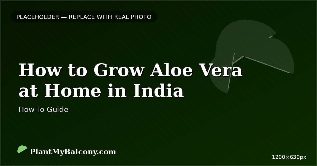How to Grow Aloe Vera at Home in India â Complete Guide