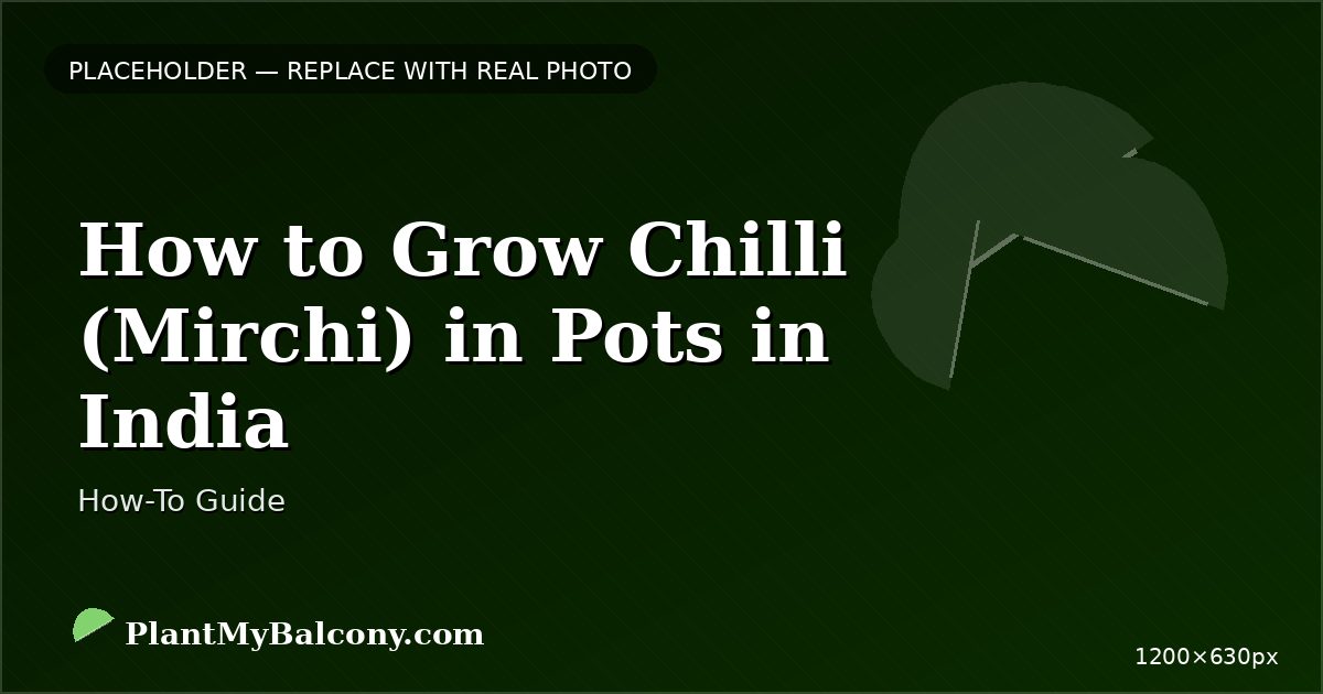 How to Grow Chilli (Mirchi) in Pots in India â Complete Guide