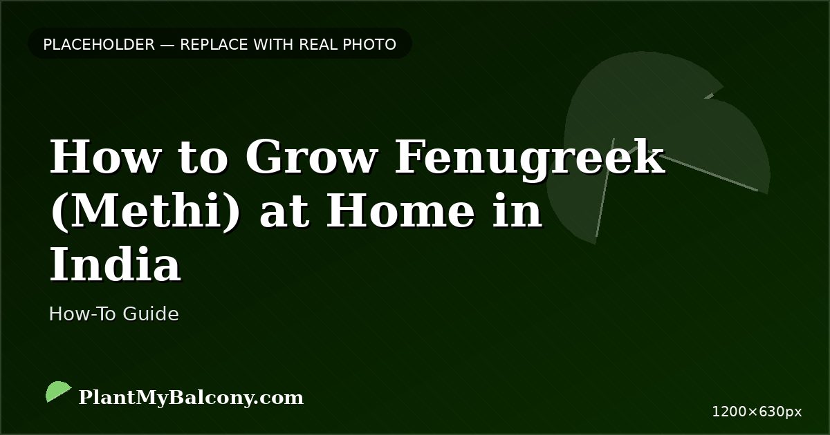 How to Grow Fenugreek (Methi) at Home in India
