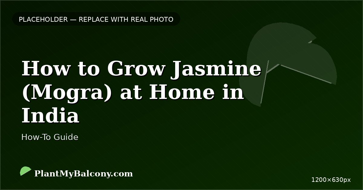 How to Grow Jasmine (Mogra) at Home in India â Complete Guide